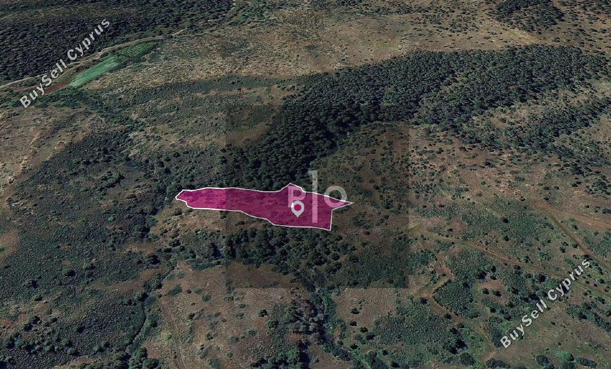 land for sale pigenia nicosia 8275135 image 15580566