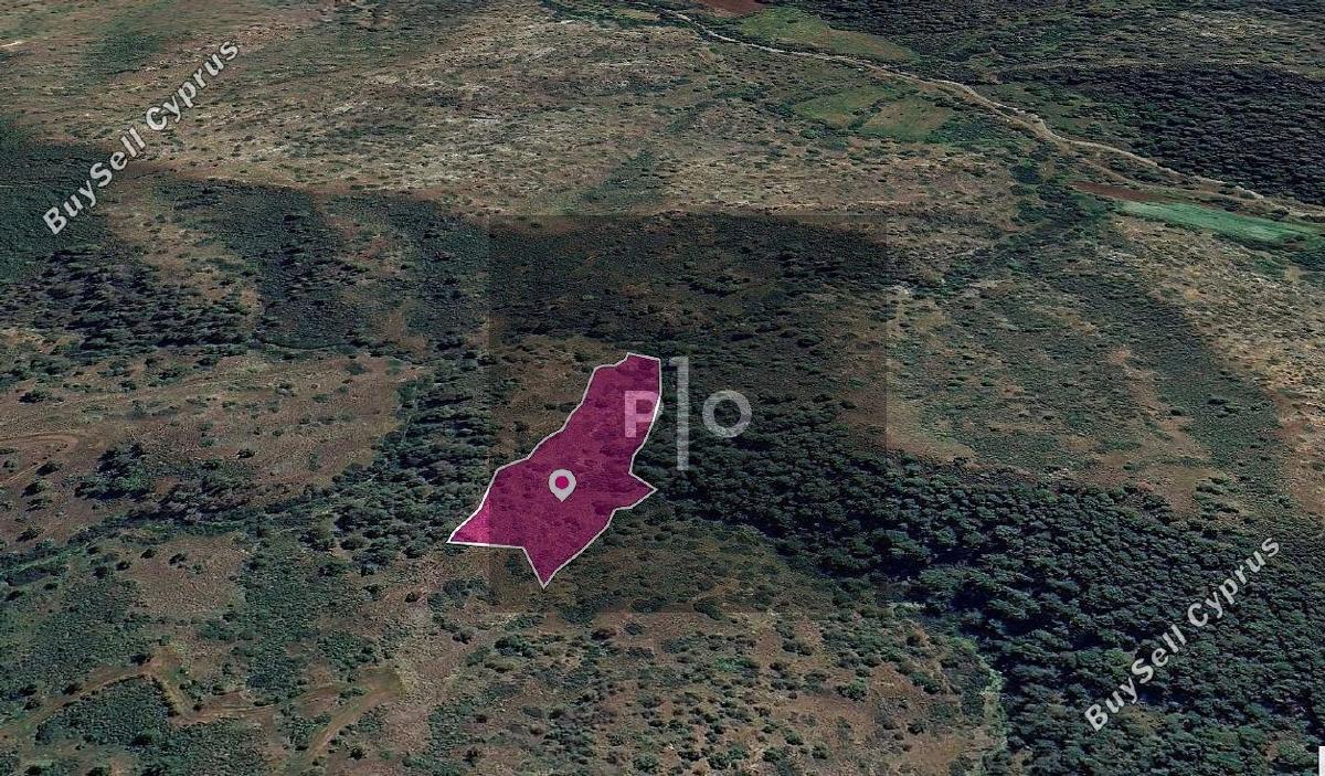 land for sale pigenia nicosia 8275135 image 15580567