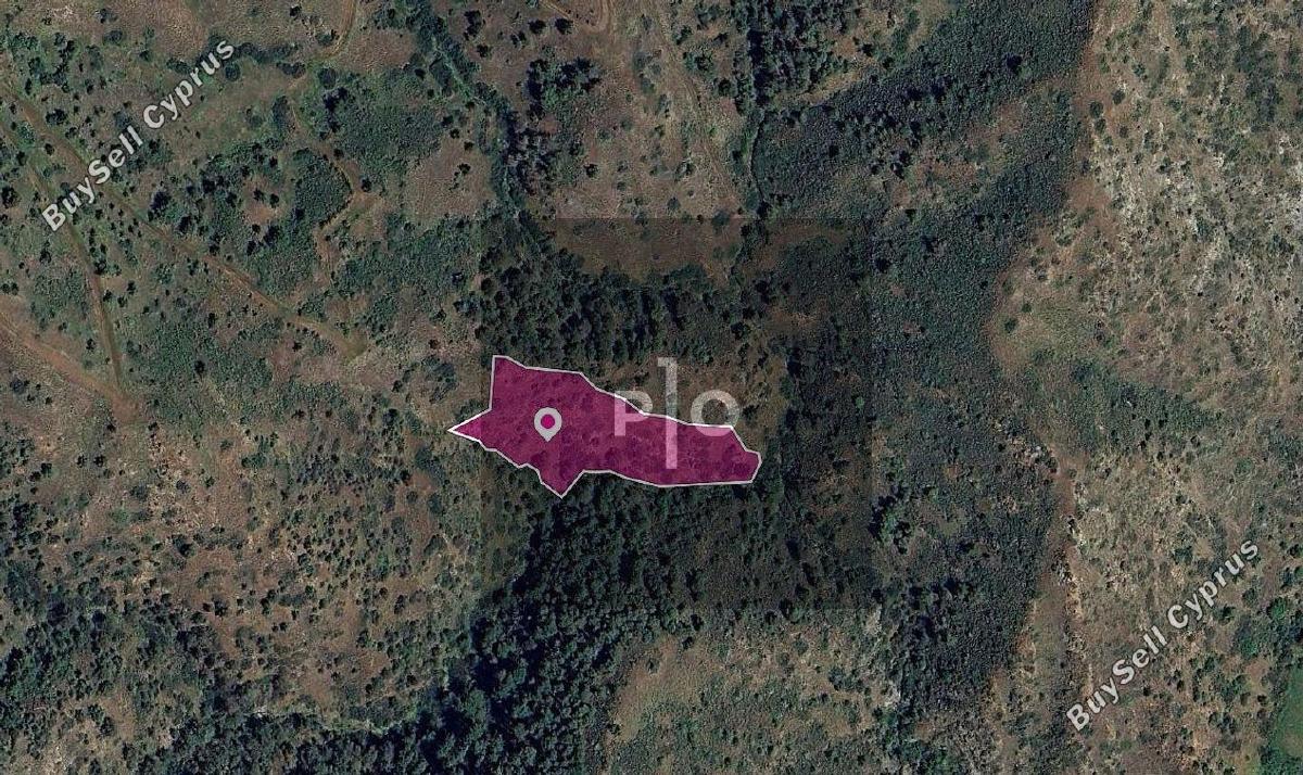 land for sale pigenia nicosia 8275135 image 15580568