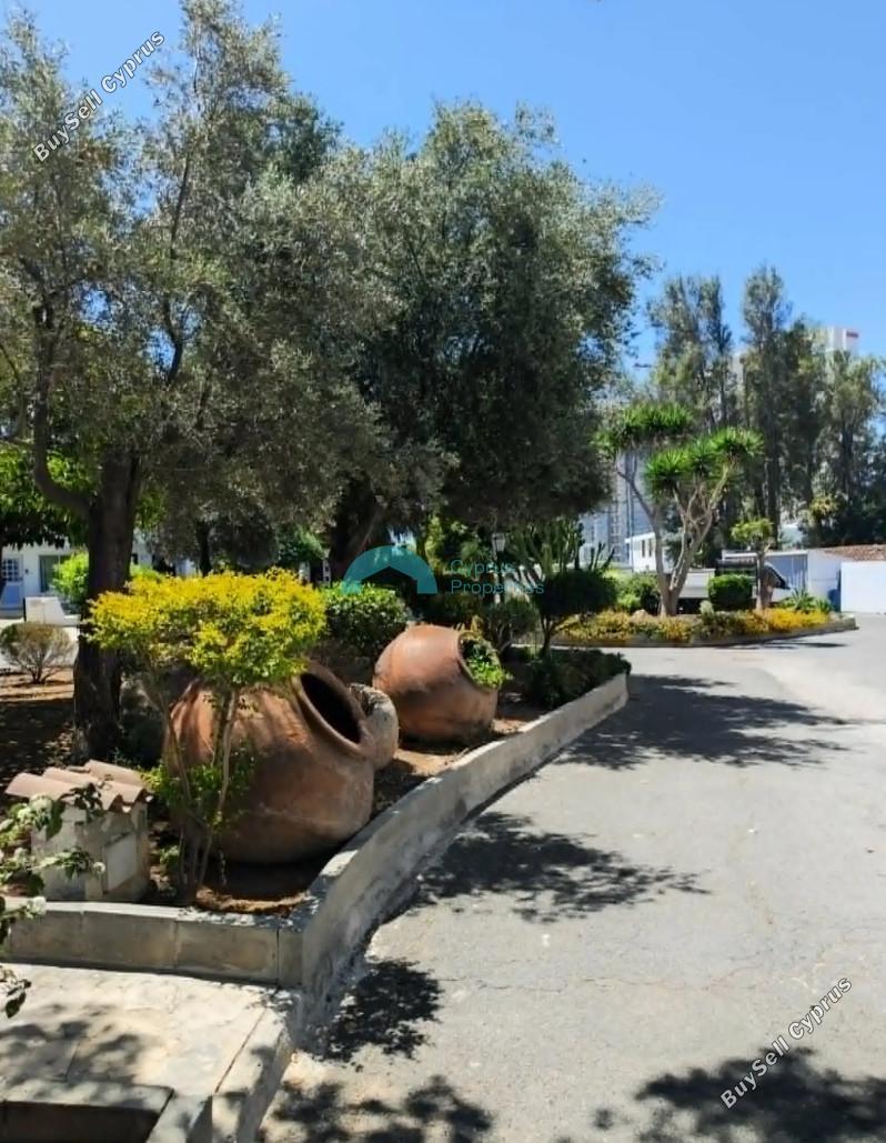 2 bedroom ground floor apartment for rent kato paphos paphos 8791235 image 16671628