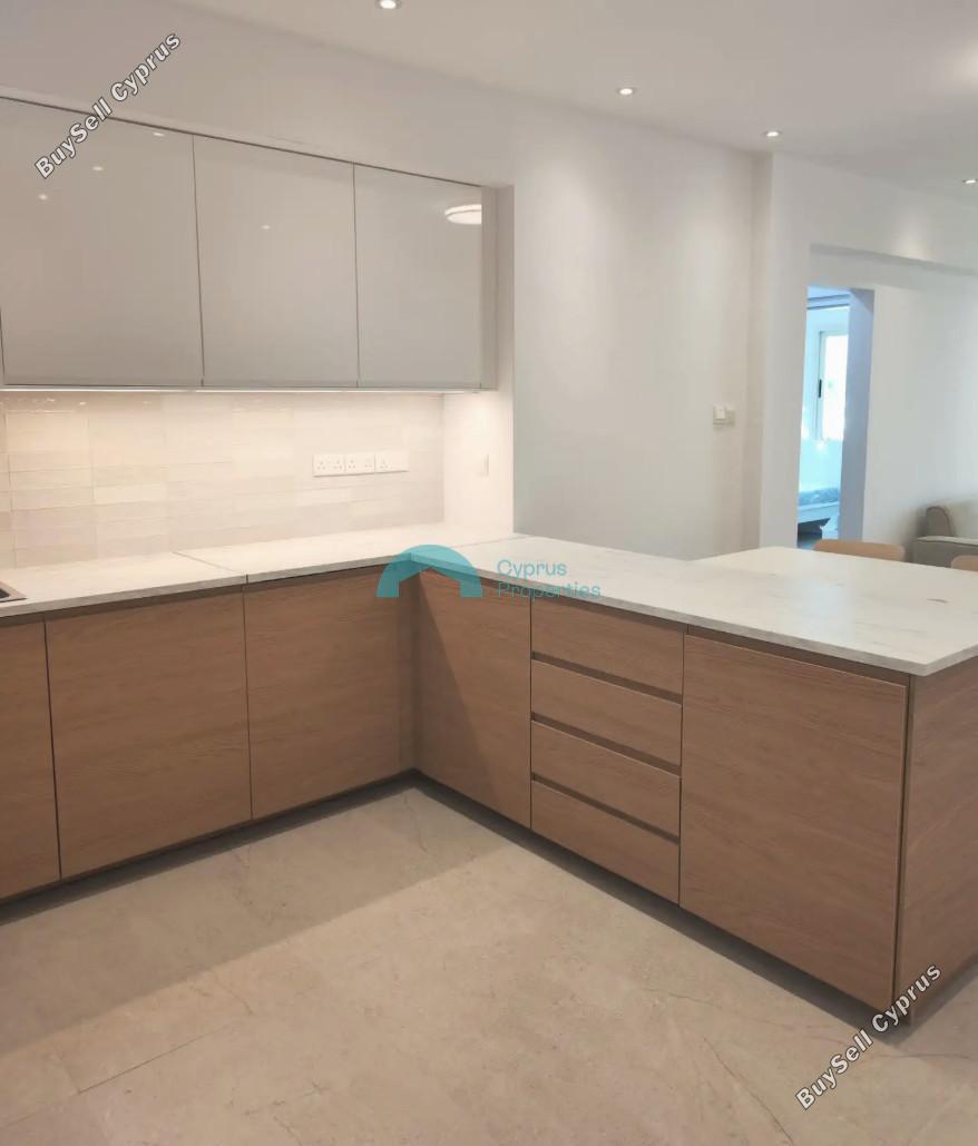2 bedroom ground floor apartment for rent kato paphos paphos 8791235 image 16671650
