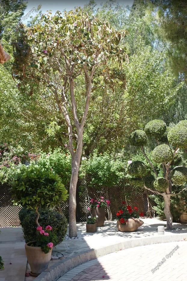 6 bedroom detached house for sale aphrodite hills paphos 8792235 image 16838123