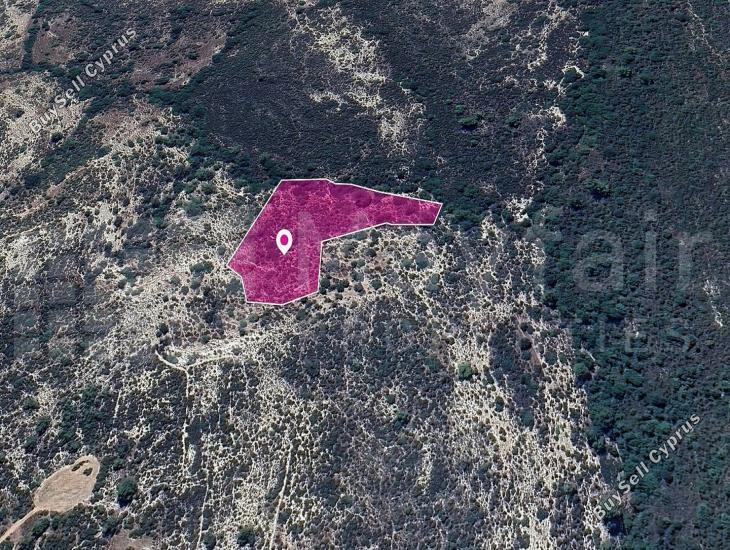 land for sale anogyra limassol 7872235 image 14891913