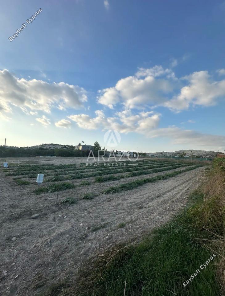 land for sale aradippou larnaca 8827235 image 16974088