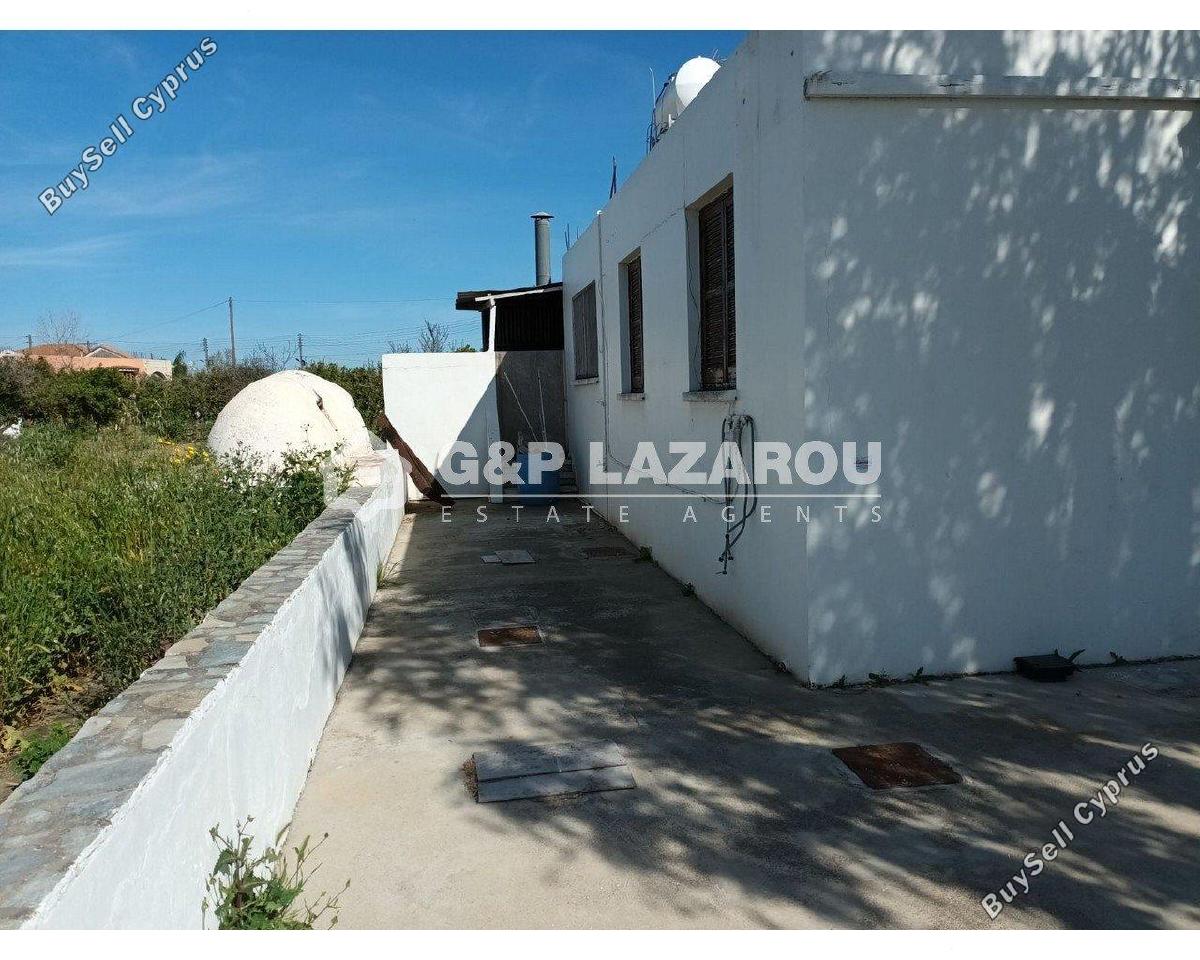 studio restaurant for rent psimolofou nicosia 1581235 image 16782454