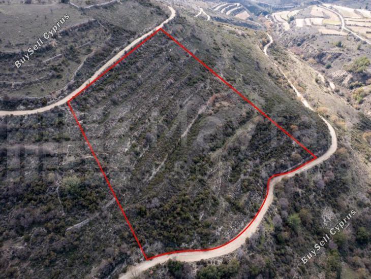 17504 SQM Plot for sale in Arsos Lemesou, Limassol 11381302