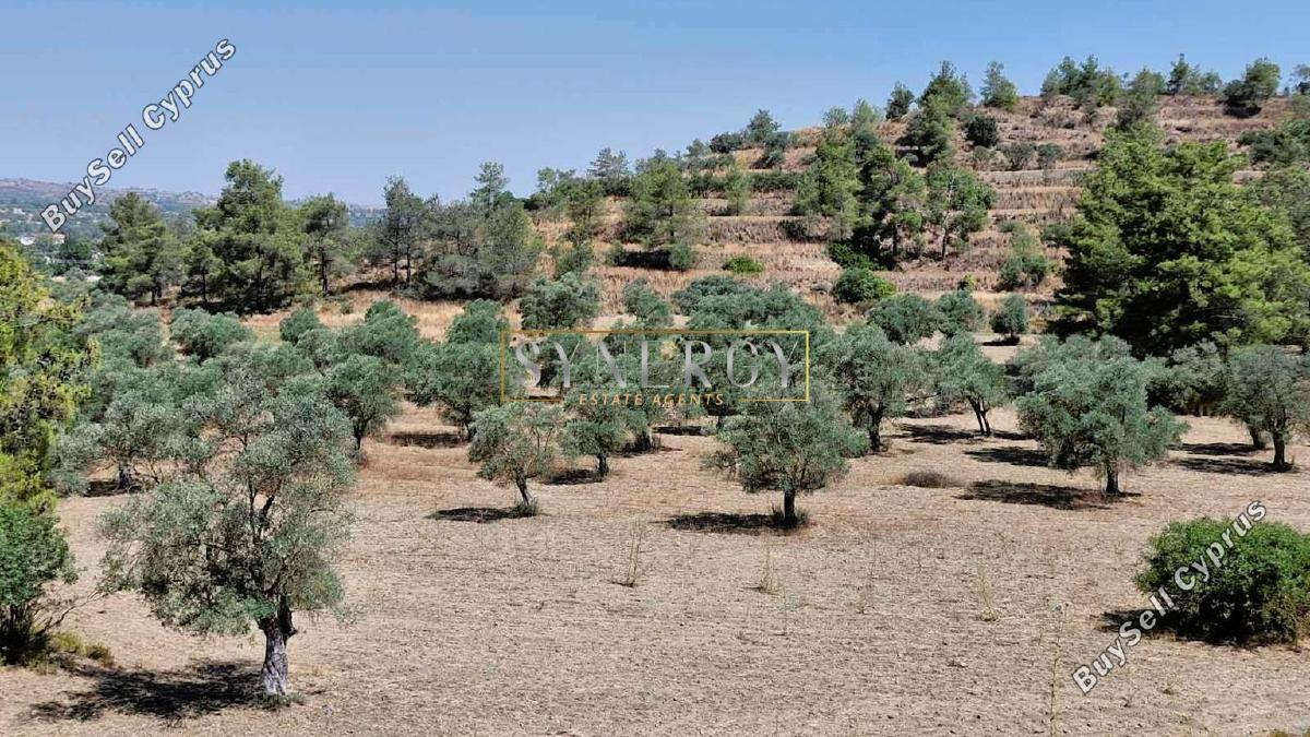 9031 SQM Land for sale in Lythrodontas, Nicosia 16742821