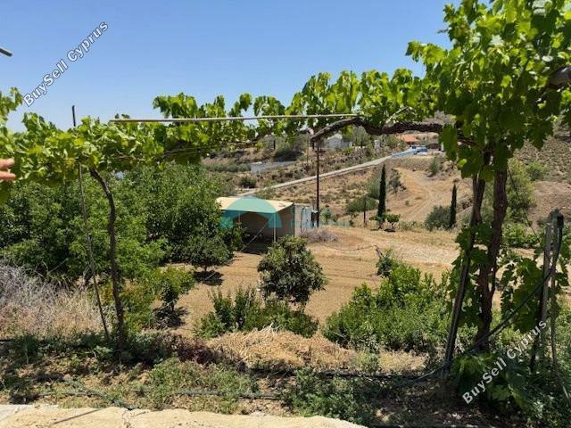 land for sale klirou nicosia 1844535 image 6620768