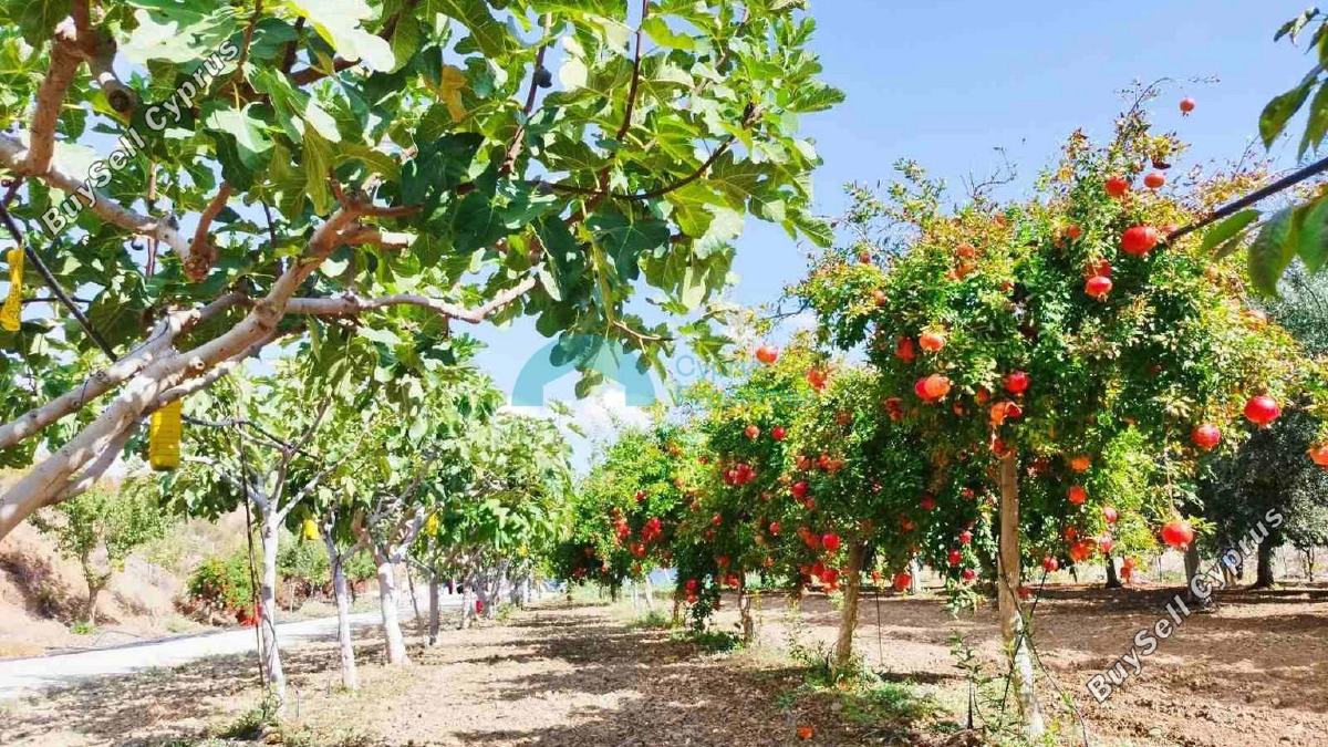 land for sale klirou nicosia 1844535 image 6620776