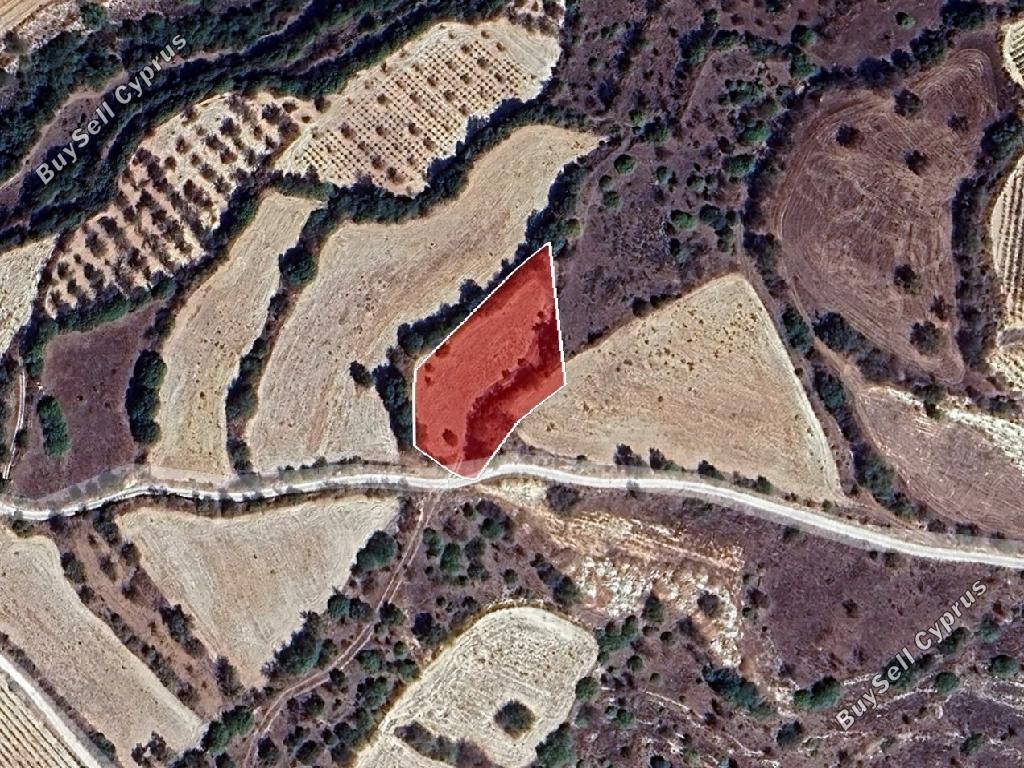 land for sale lemona paphos 8628535 image 16276084