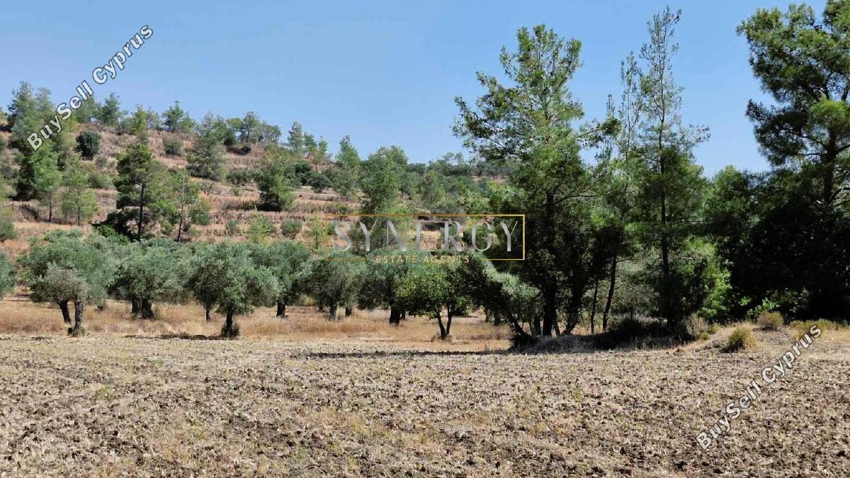 land for sale lythrodontas nicosia 1578535 image 16742820
