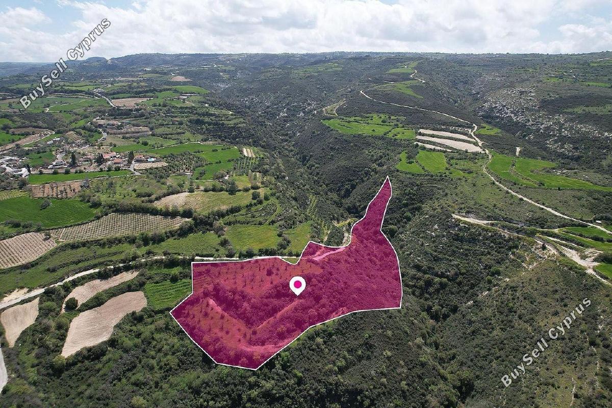 land for sale pano akourdalia paphos 1897535 image 14206160