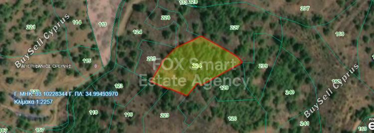 land for sale agios epifanios oreinis nicosia 1150735 image 5121421