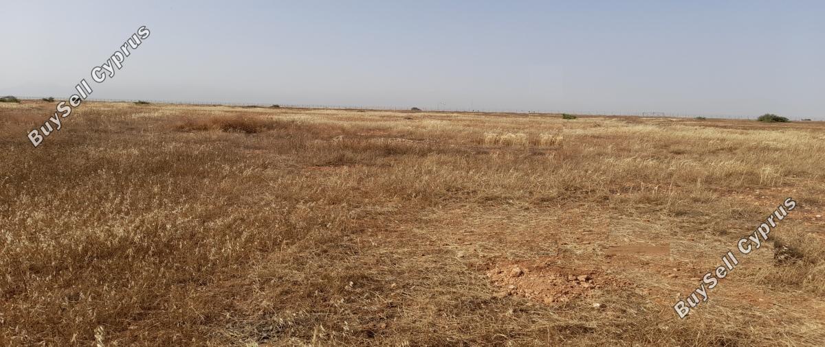 land for sale kokkinotrimithia nicosia 1788735 image 16168850