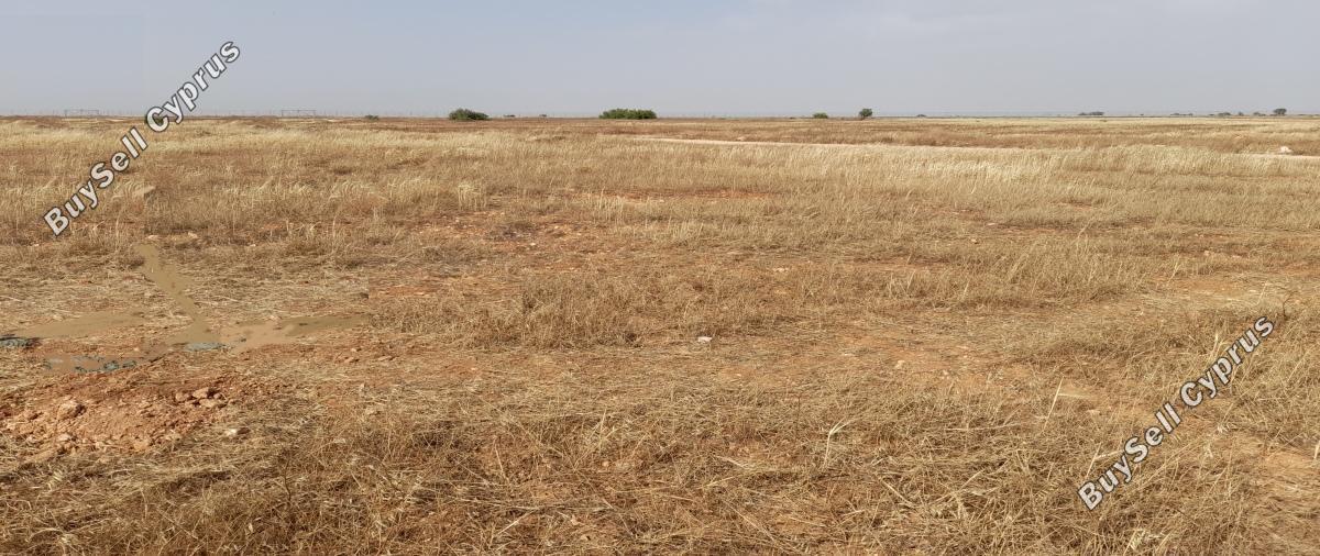 land for sale kokkinotrimithia nicosia 1788735 image 16168851