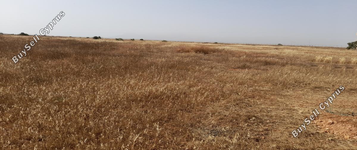 land for sale kokkinotrimithia nicosia 1788735 image 16168852