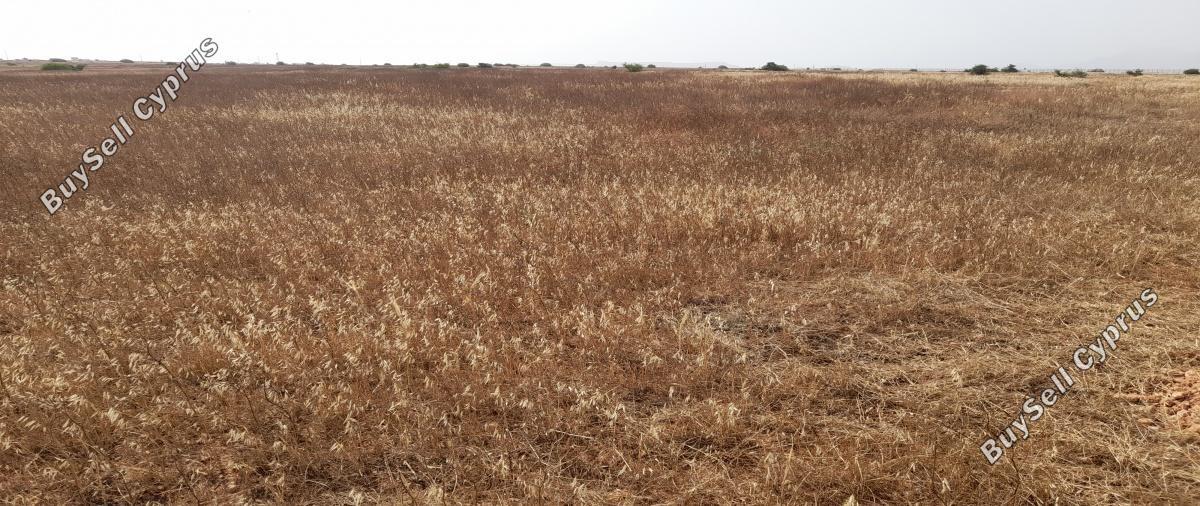 land for sale kokkinotrimithia nicosia 1788735 image 16168853