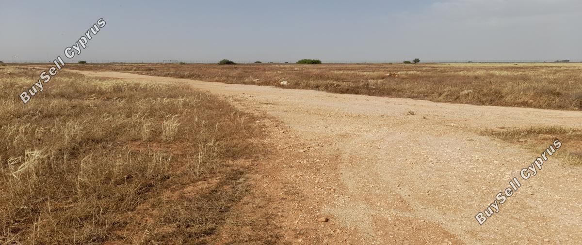 land for sale kokkinotrimithia nicosia 1788735 image 16168858