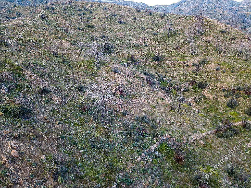 land for sale melini larnaca 987735 image 1124222