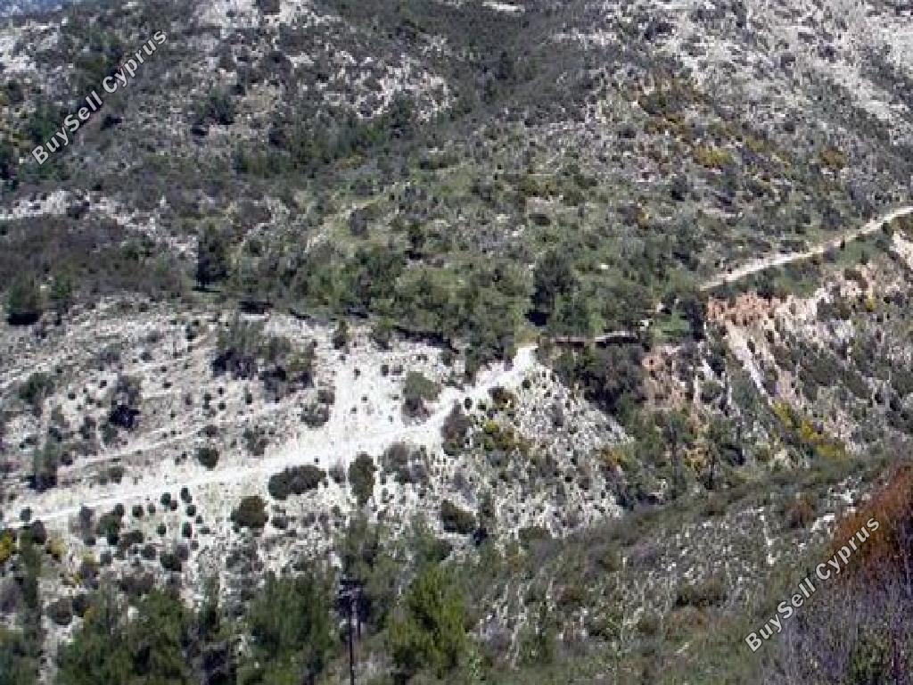 land for sale platanisteia limassol 945735 image 17102739