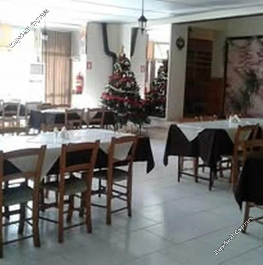 studio restaurant for sale agios epifanios oreinis nicosia 8156735 image 13488538