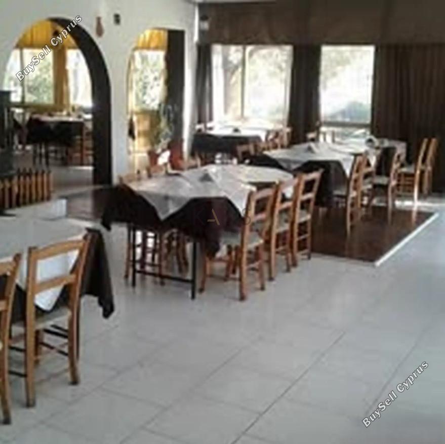 studio restaurant for sale agios epifanios oreinis nicosia 8156735 image 13488539