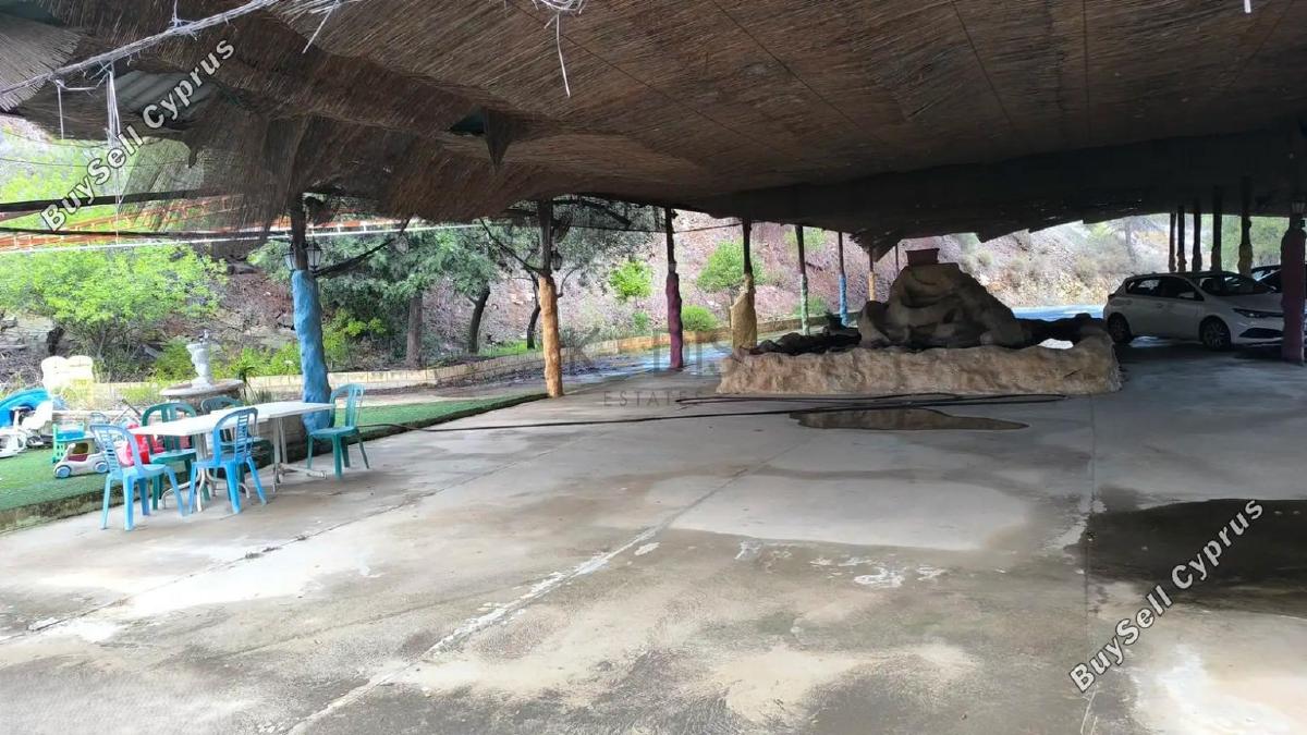studio restaurant for sale agios epifanios oreinis nicosia 8156735 image 13488541
