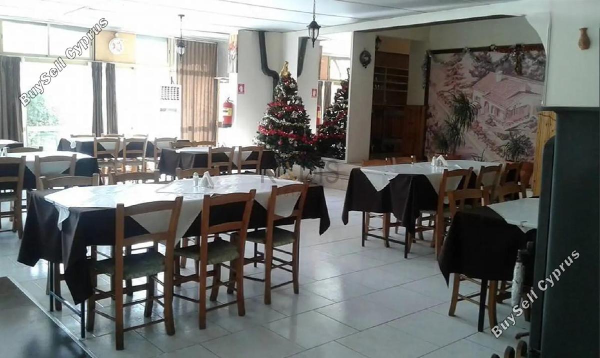 studio restaurant for sale agios epifanios oreinis nicosia 8156735 image 13488542
