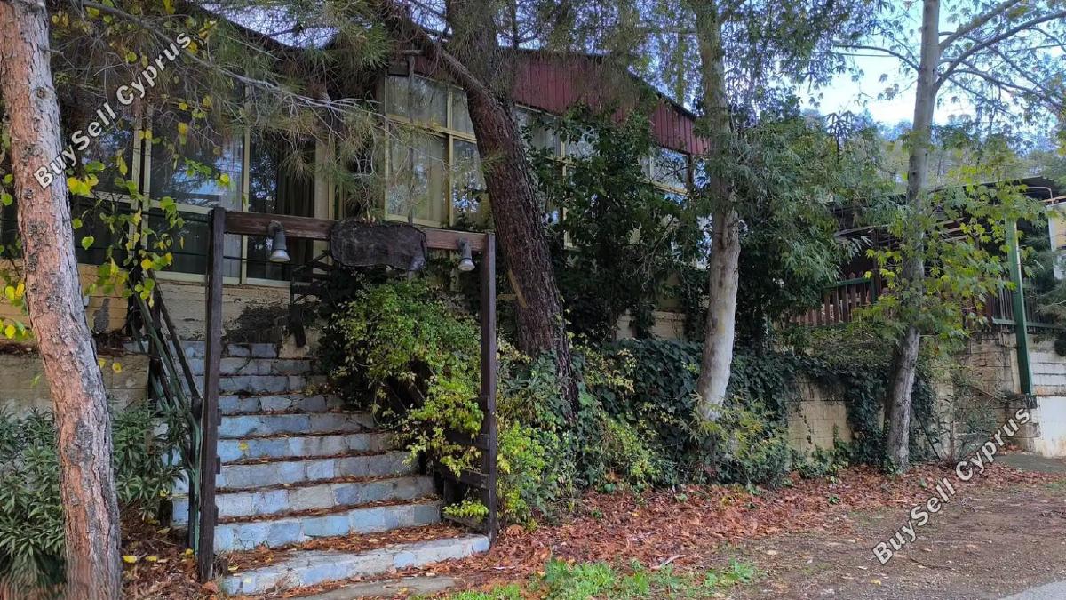 studio restaurant for sale agios epifanios oreinis nicosia 8156735 image 13488543