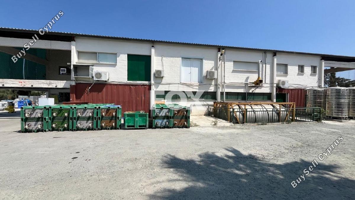 studio warehouse for rent erimi limassol 1847735 image 6656839