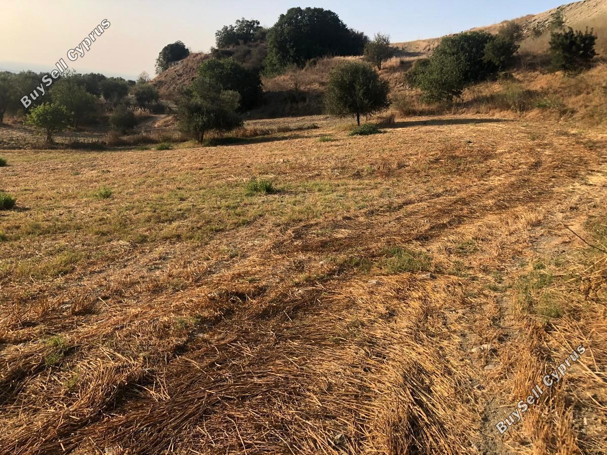 land for sale simou paphos 1104835 image 1382956
