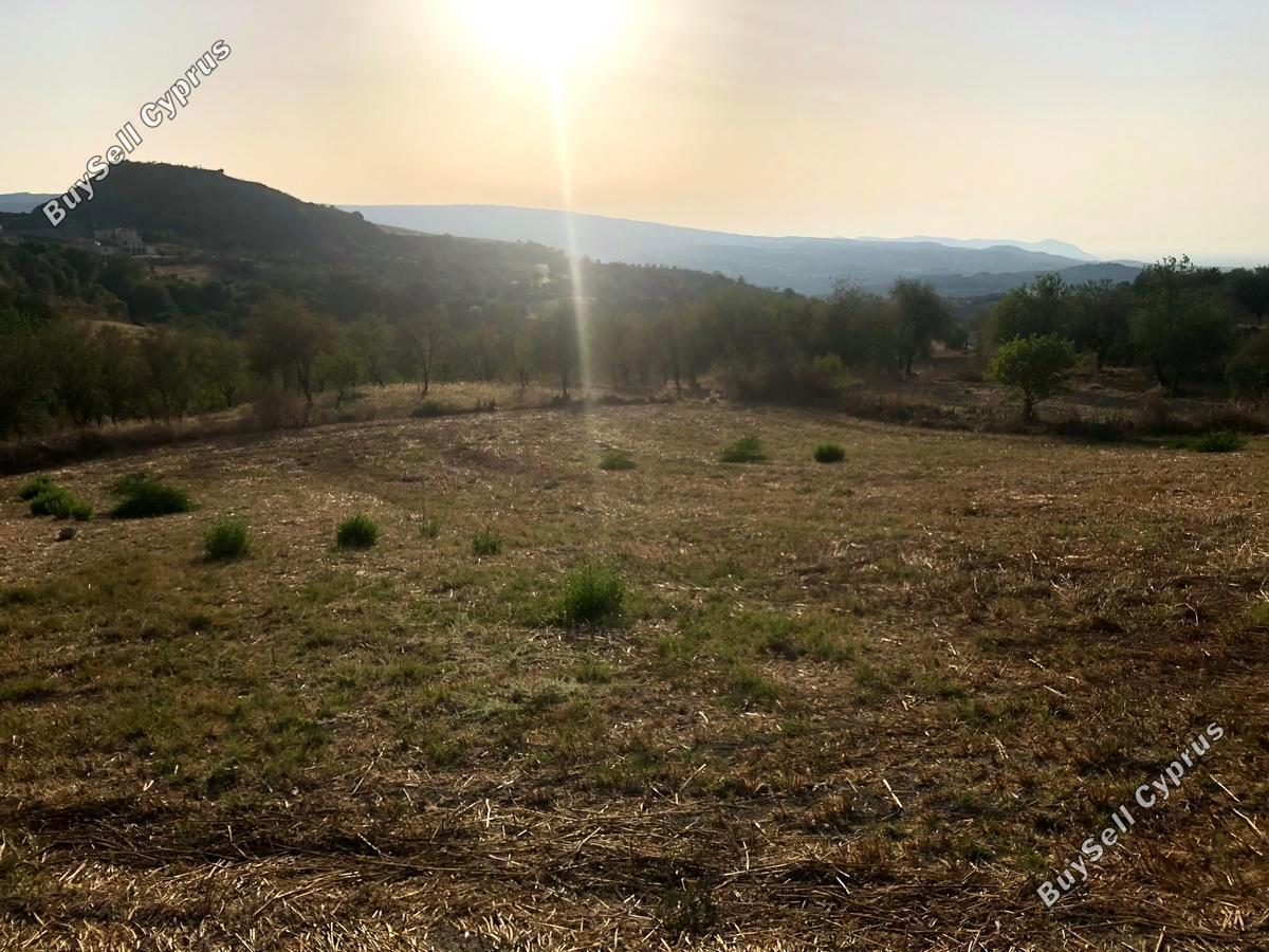 land for sale simou paphos 1104835 image 1382957