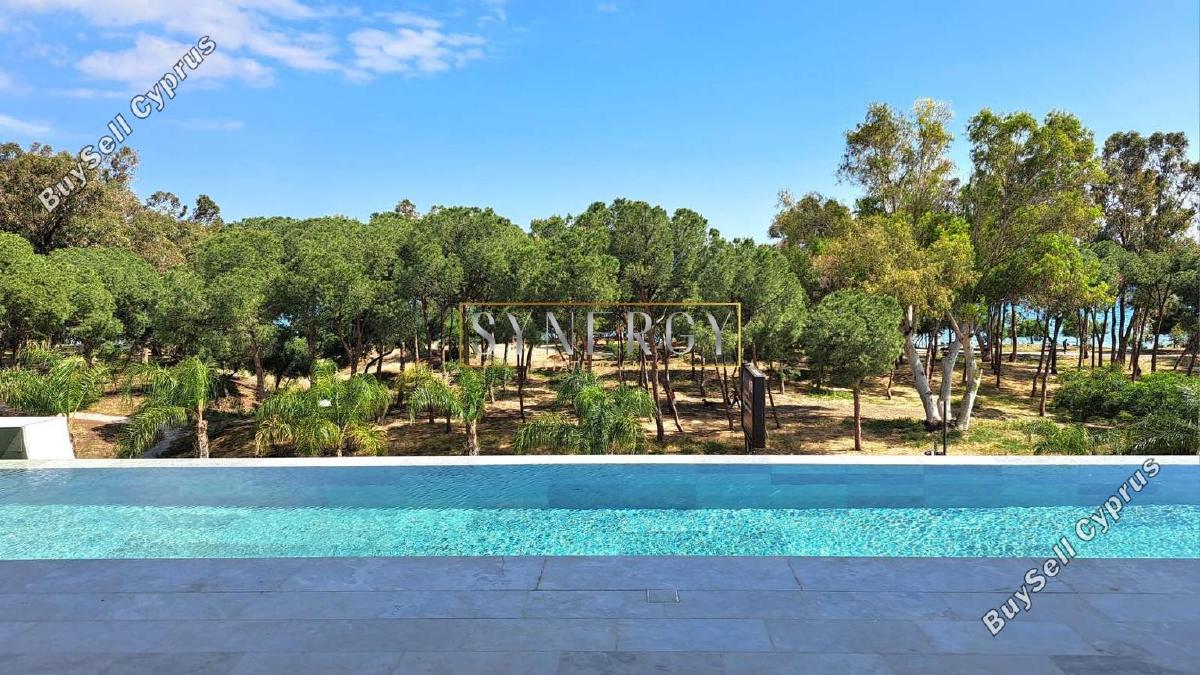 2 bedroom apartment for rent potamos germasogeias limassol 8785935 image 16660924