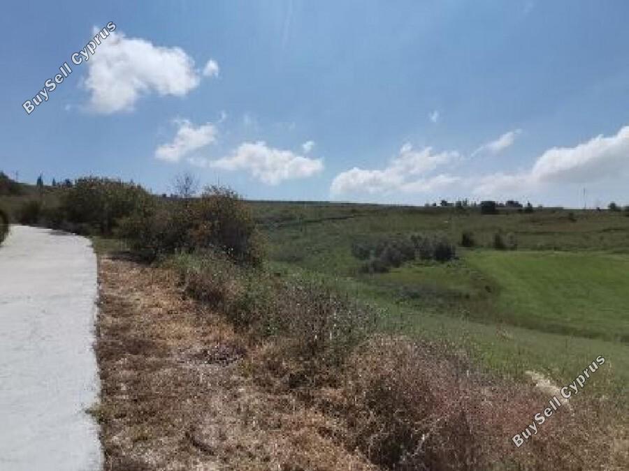 land for sale kato arodes paphos 1352935 image 2540579
