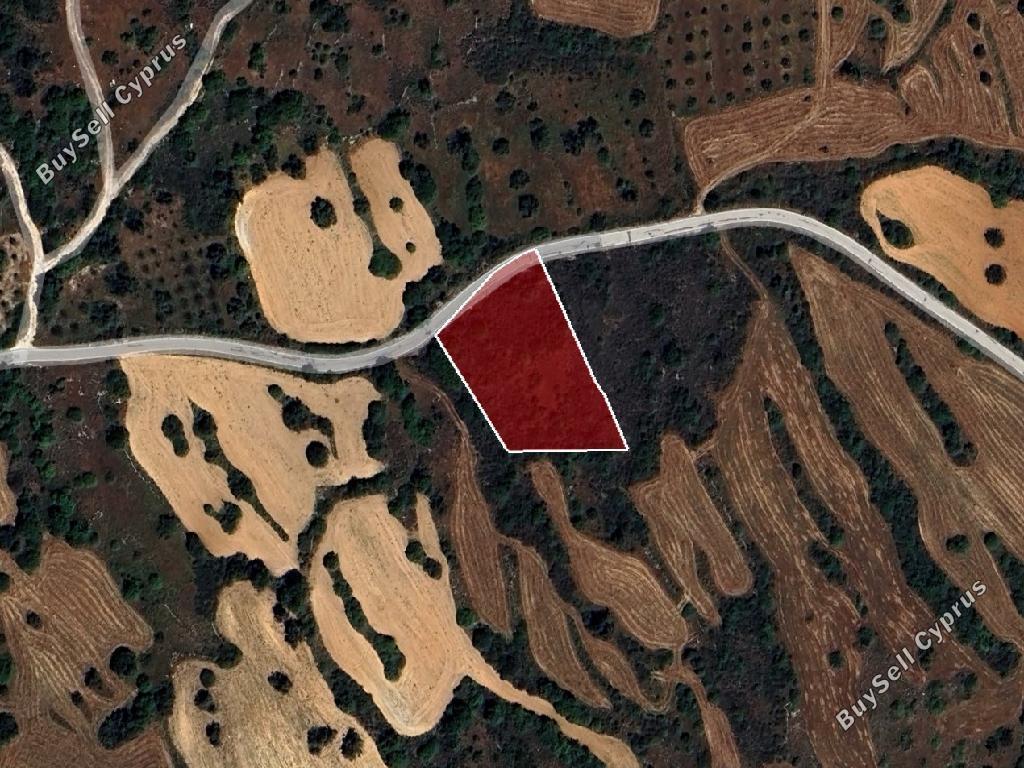 land for sale kritou tera paphos 1215935 image 15601924