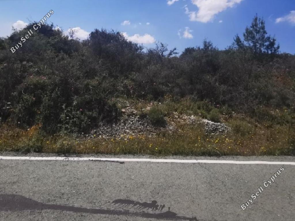 land for sale kritou tera paphos 1215935 image 15601925