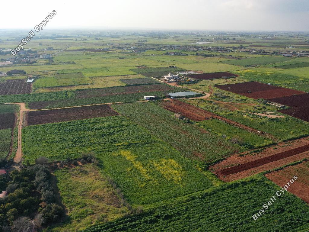 land for sale liopetri famagusta 822935 image 15601416