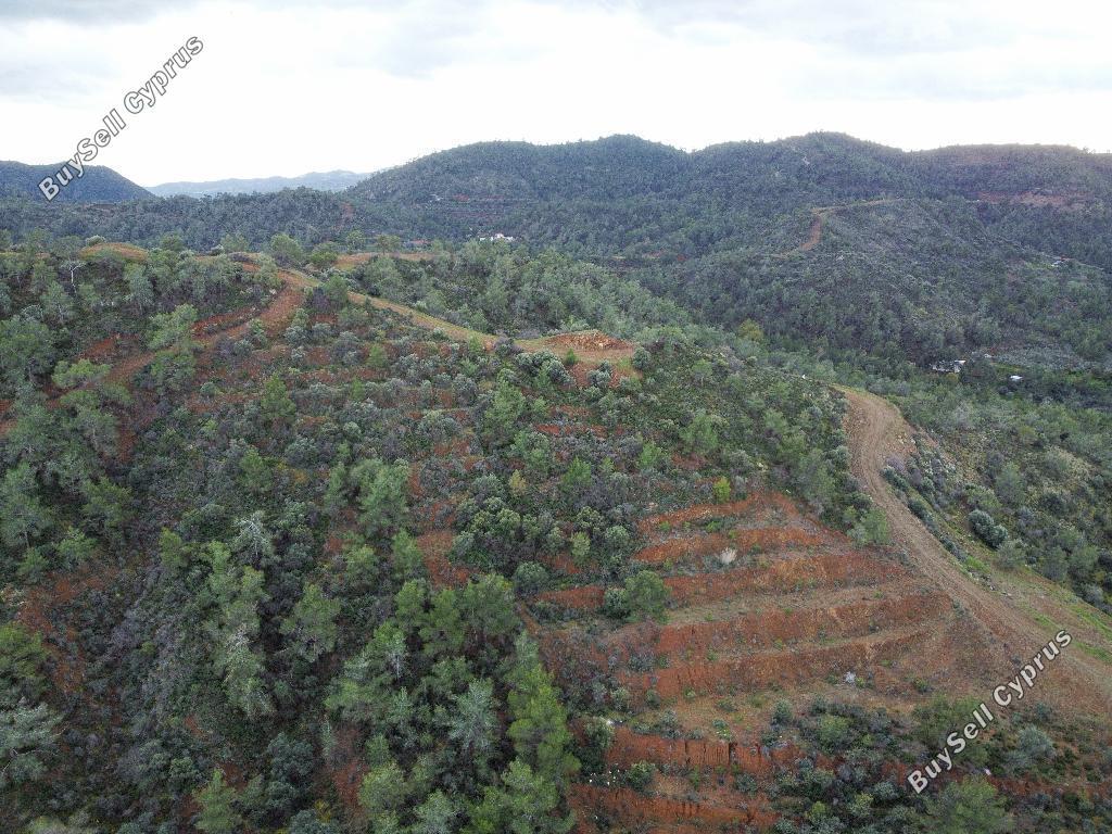 land for sale lythrodontas nicosia 992935 image 6815213