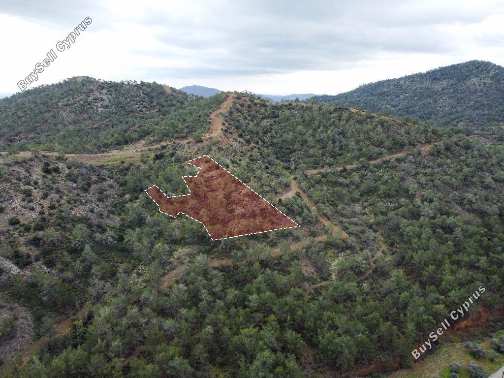 land for sale lythrodontas nicosia 992935 image 6815214