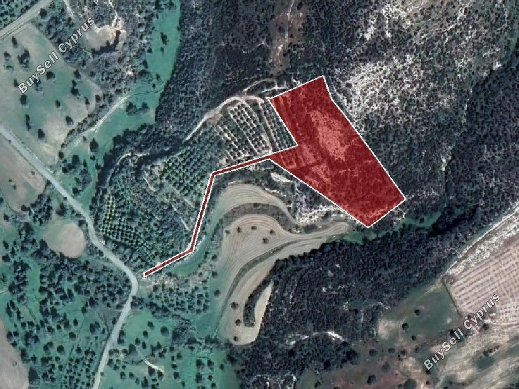 land for sale skarinou larnaca 945935 image 15867370