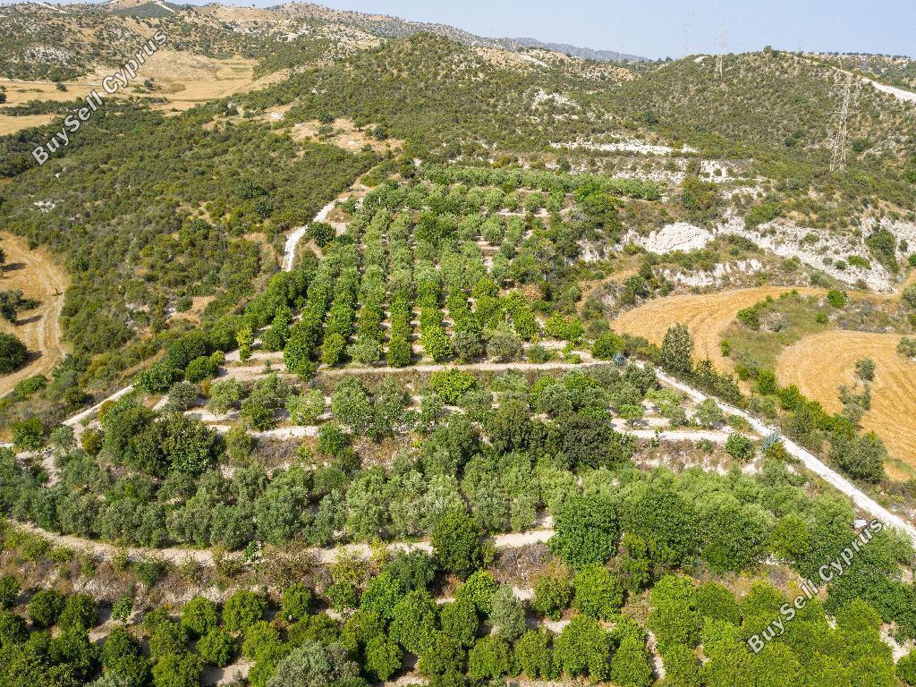 land for sale skarinou larnaca 945935 image 15867372