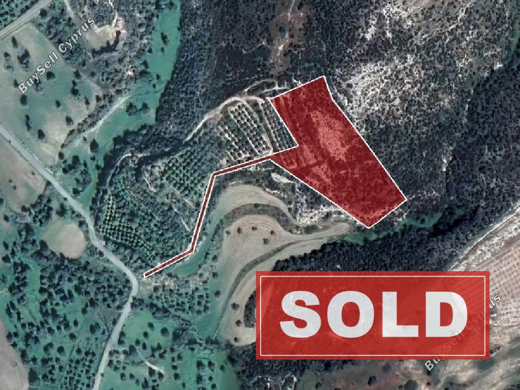 land sold skarinou larnaca 945935 image 15867370