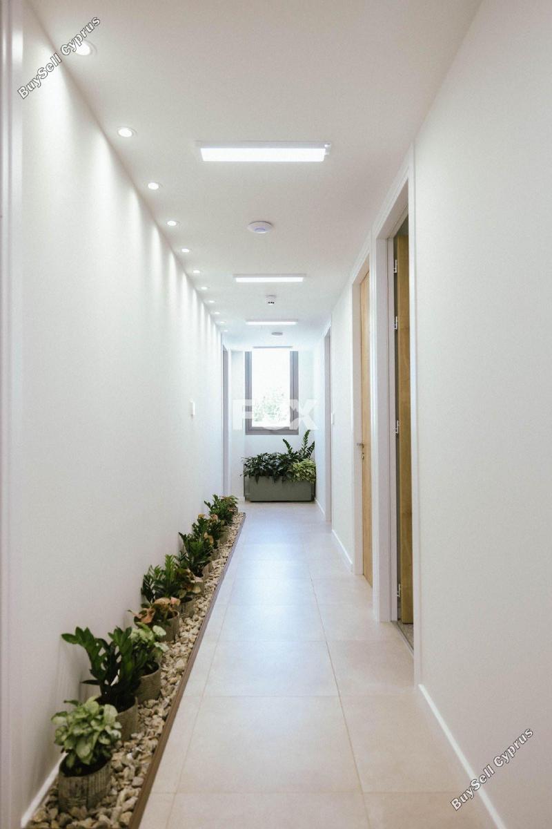 studio office for rent zakaki limassol 1593935 image 14175146