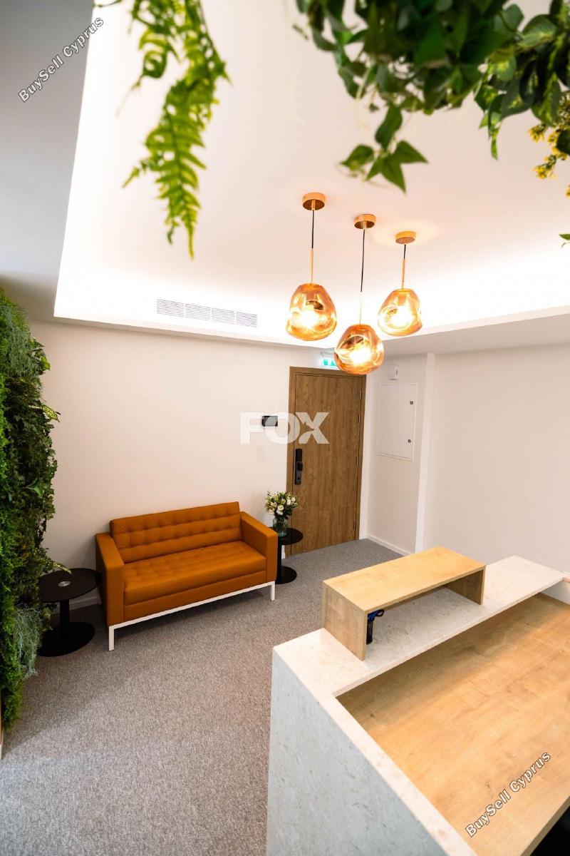 studio office for rent zakaki limassol 1593935 image 14175151