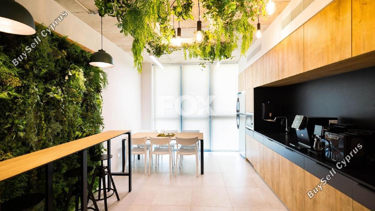 studio office for rent zakaki limassol 1593935 image 14175154