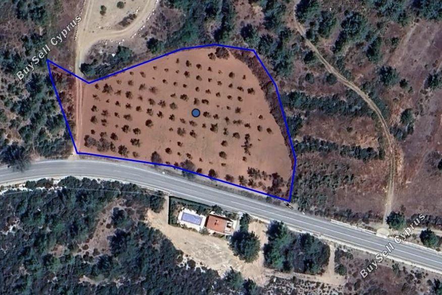5695 SQM Land for sale in Agios Mamas, Limassol 5882551