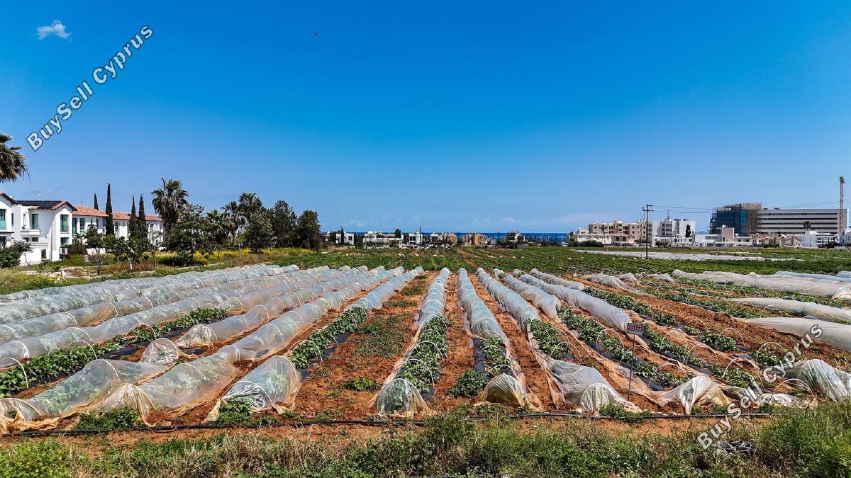 land for sale agia triada famagusta 7544045 image 15419671