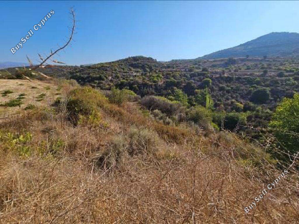 land for sale dora limassol 7806045 image 15596692
