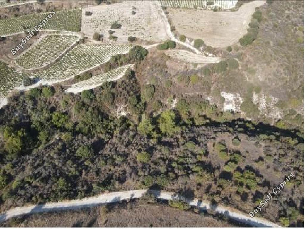 land for sale dora limassol 7806045 image 15596694