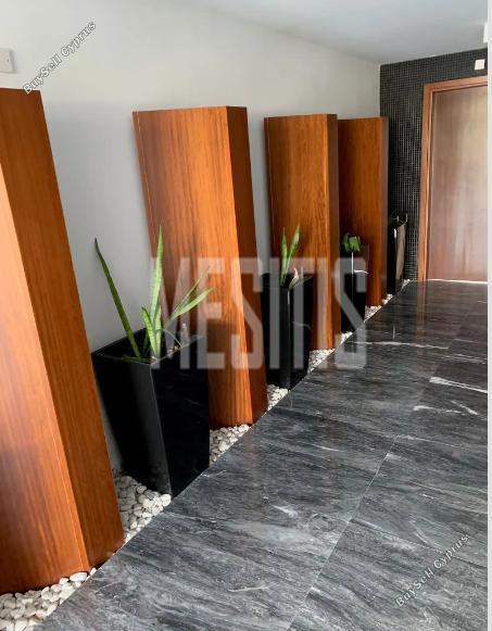 2 bedroom apartment for rent agios andreas nicosia nicosia 1468145 image 10501226